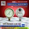 Pressure Gauge Nuova Fima